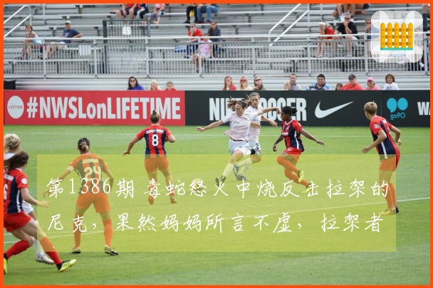 第1386期 毒蛇怒火中烧反击拉架的尼克，果然妈妈所言不虚，拉架者终将遭殃